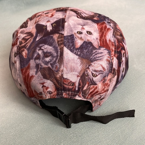 Cat Baseball Cap Hat plus Lamb Chop Cat Toy - Picture 10 of 15